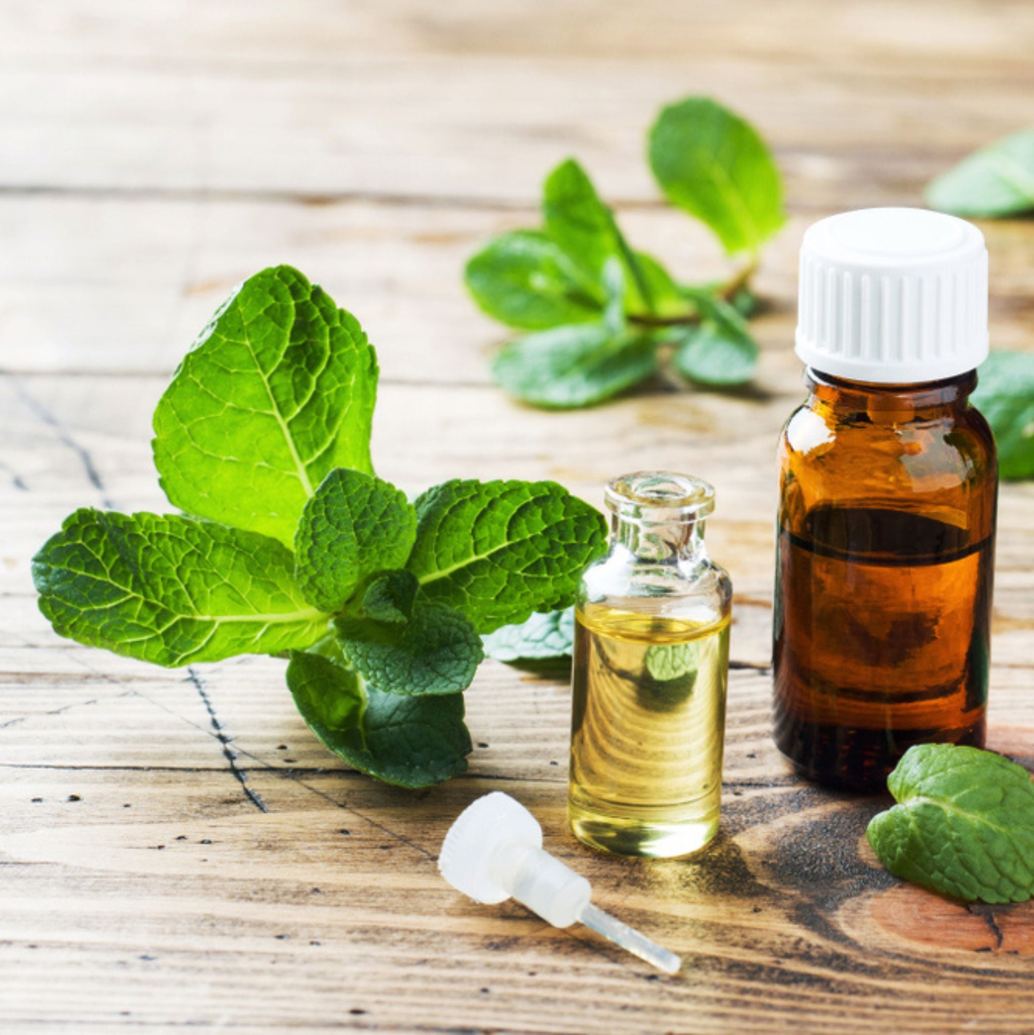 Menthol 10 ml, ätherisches Öl